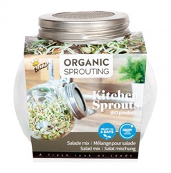 Organic Keimsprossen Keimglas - Salatmischung