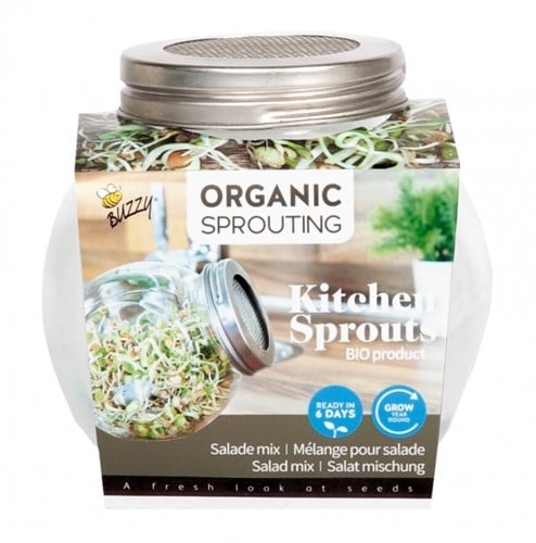 Organic Keimsprossen Keimglas - Salatmischung