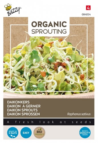 Daikon Sprossen - Buzzy Organic Sprouting