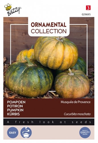 Kürbis Musquée de Provence - Ornamental Collection