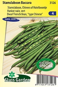 Buschbohnen Baccara - Phaseolus vulgaris