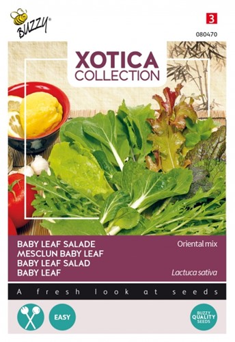 Baby Leaf Oriental Mischung - Xotica Collection