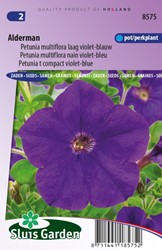 Petunia Multiflora Alderman – Petunie