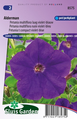 Petunia Multiflora Alderman – Petunie