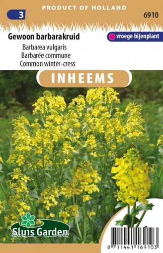Gewöhnliches Barbarakraut