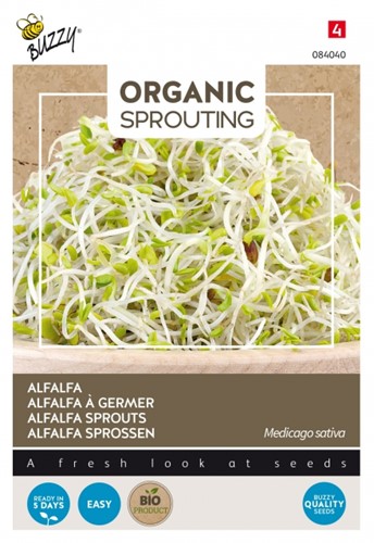 Alfalfa Sprossen / Luzerne BIO - Buzzy Organic Sprouting