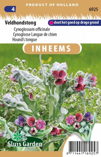 Hundszunge - Cynoglossum officinale