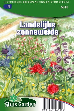 Auf ländlicher Sonnenwiese