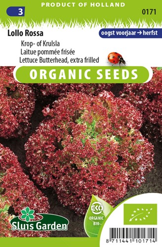 Pflücksalat Lettuce Lollo Rossa EKO