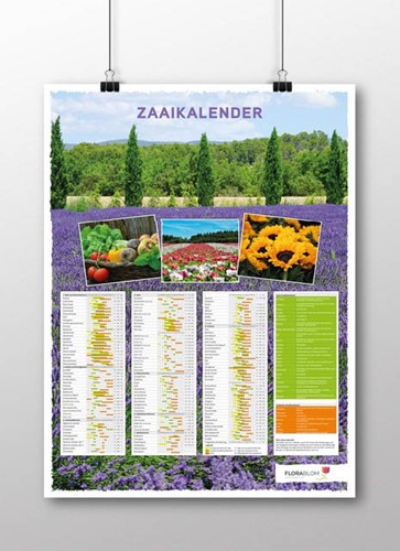 Aussaatkalender-Poster Niederländisch - Aufgerollt