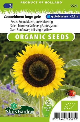 Sonnenblume Hohe gelbe EKO