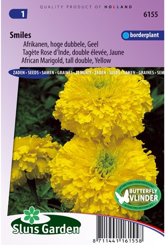 Samtblume Smiles - Tagetes