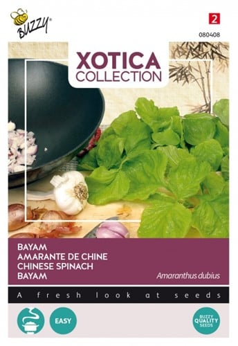 Bayam - Xotica Collection