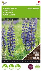 Grndnger Blaue Lupinen / 100gr - 10 m2 kaufen? Samen bestellen bei  Samenkaufen.de