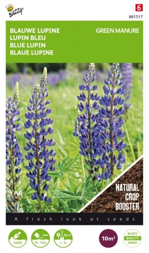 Gründünger Blaue Lupinen / 100gr - 10 m2