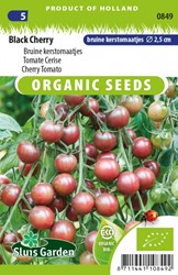 Black Cherry - Braune Kirschtomaten EKO