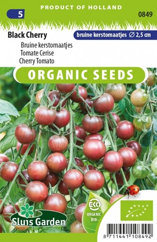 Black Cherry - Braune Kirschtomaten EKO