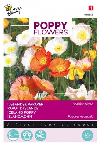 Islandmohn Excelsior - Poppy Flowers