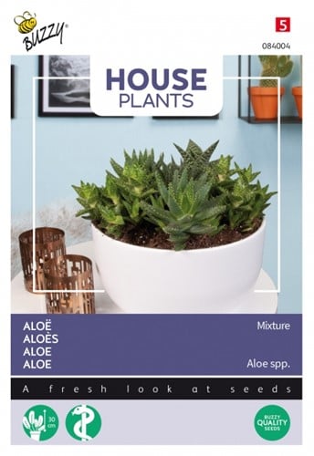 Aloe Mischung - Buzzy House Plants