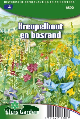Am sonnigen Gebüsch- und Waldrand