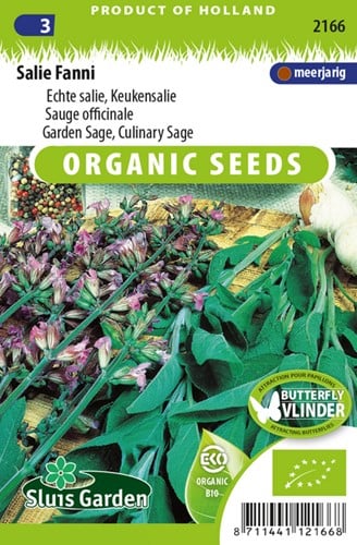 Salbei (Salvia officinalis) Fanni EKO