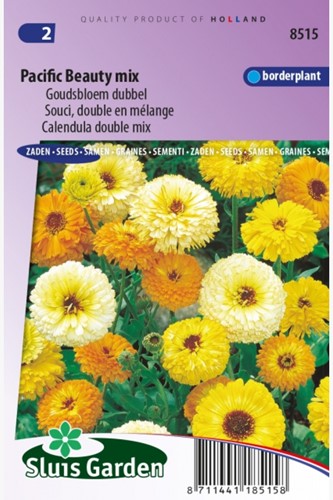 Ringelblume Pacific Beauty mix - Calendula