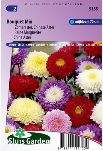Aster Strauß Bouquet Mix - Sommeraster