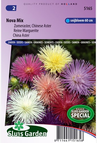 Aster, Sommeraster Nova mix - Callistephus chinensis