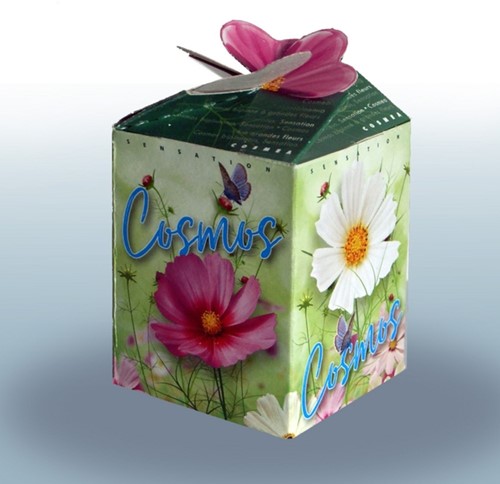 Cosmos Mix Ecogeschenke