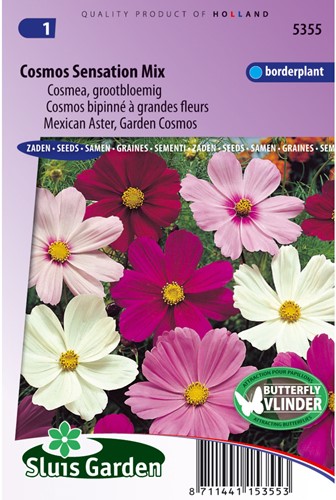 Cosmos Sensation Mixed (Aster)