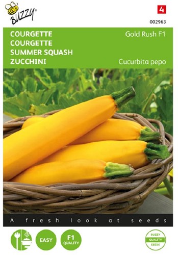 Zucchini Gold Rush F1 - Cucurbita pepo