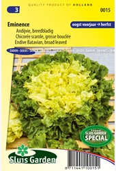 Endivien Eminence - Cichorium endivia