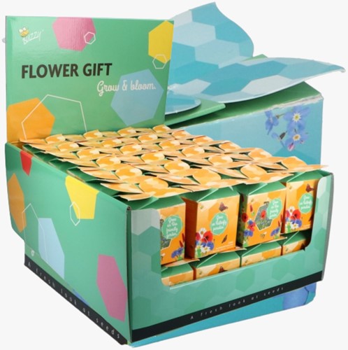 Buzzy Flower Gift (48x) Insekten-Blumenmix (Display 48x)