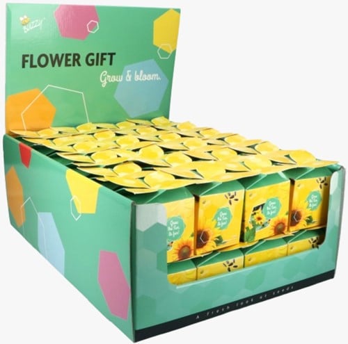 Buzzy Flower Gift (48x) Sonnenblume - Helianthus (Display 48x)