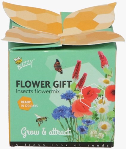 Buzzy Flower Gift Insekten Blumen Misschung (1 Schachtel)
