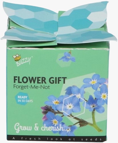 Buzzy Flower Gift Vergissmeinnicht - Myosotis (1 Schachtel)