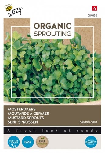 Senf Sprossen - Buzzy Organic Sprouting