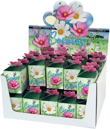 Ecogeschenke Cosmos Mix 40 Stück in Versandkiste