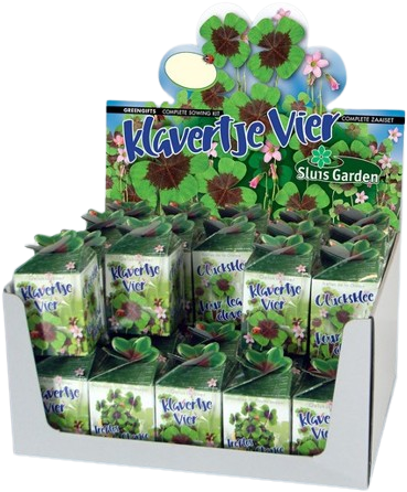 Ecogeschenke Vierblättrigen Kleefarn 40 Stück in Versandkiste