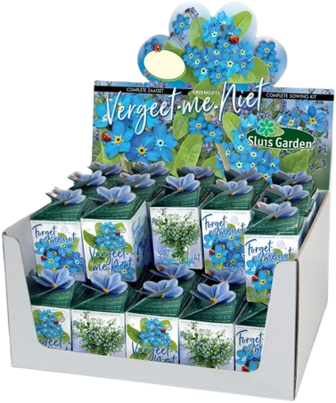 Ecogeschenke Vergissmeinnicht 40 Stück in Versandkiste