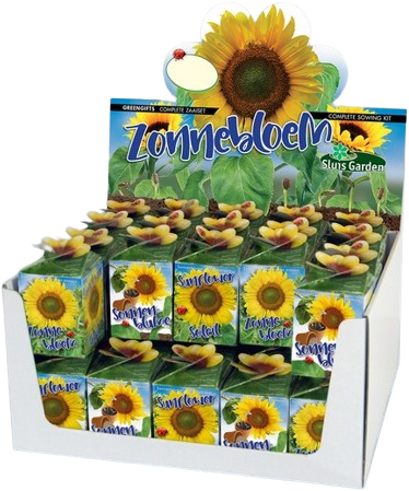 Ecogeschenke Sonnenblume 40 Stück in Versandkiste