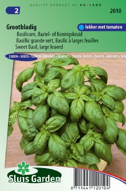 Basilienkraut Grob - Ocinum - Basilicum - 625 samen