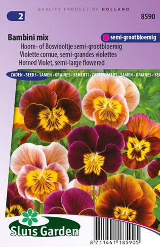 Hornveilchen Bambini Mix – Viola Cornuta