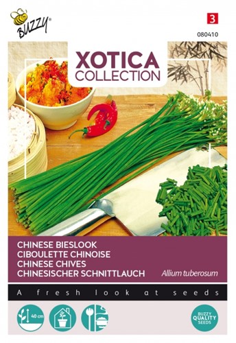 Chinesischer Schnittlauch - Xotica Collection