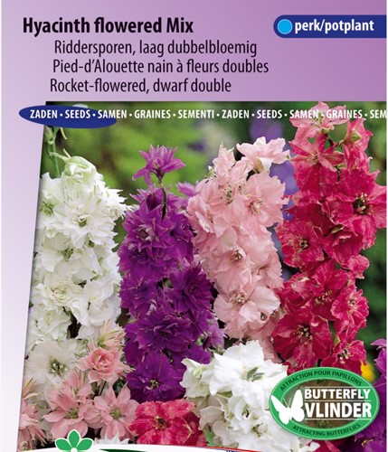Rittersporn Hyacinth artigen Mix (Delphinium)
