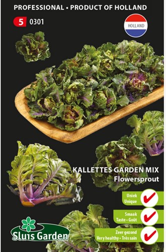 Kalettes garden mix, Flowersprout