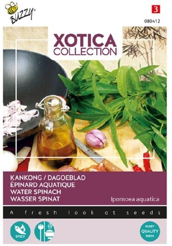Kankong, Wasser Spinat - Xotica Collection