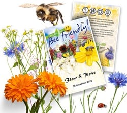 Personalisierte Werbegeschenke Samen Pakete Schmetterlings Blumenwiese 500 stück