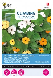 Schwarzaugige Susanne Mischung - Climbing Flowers
