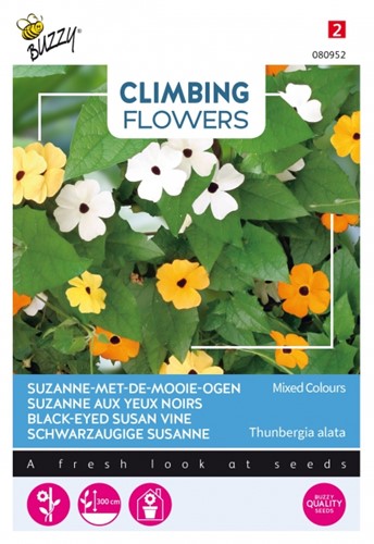 Schwarzaugige Susanne Mischung - Climbing Flowers